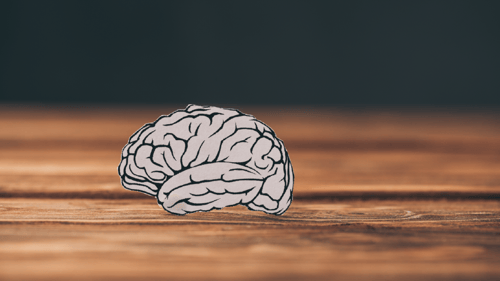 Supporting the VA’s High Reliability Organization Journey Through Suicide Prevention