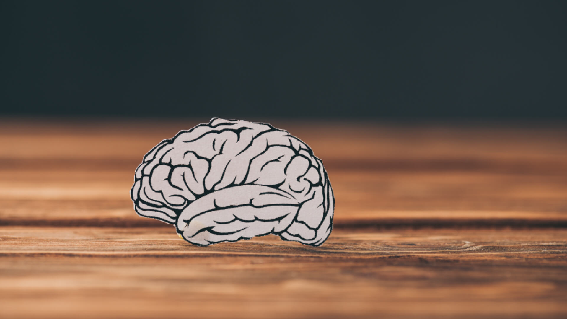 Brain illustration on cardboard cutout