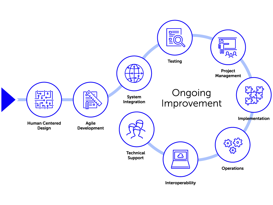 DSS core competencies and process diagram